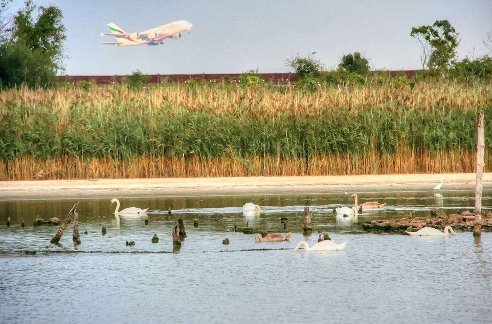 Jamaica Bay Wildlife Refuge Visitor Center | 175-10 Cross Bay Blvd, Broad Channel, NY 11693 | Phone: (718) 318-4340