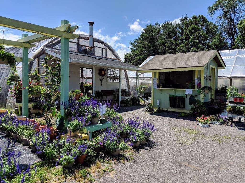 Windmill Heights Garden Center | 1901 Broad St, Culpeper, VA 22701, USA | Phone: (540) 825-2059