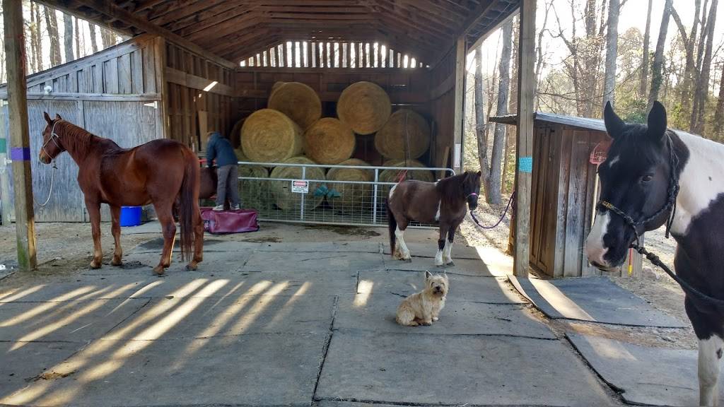 EasiHorse Farm | 2309 Easy Horse Trail, Wake Forest, NC 27587, USA | Phone: (919) 229-9772