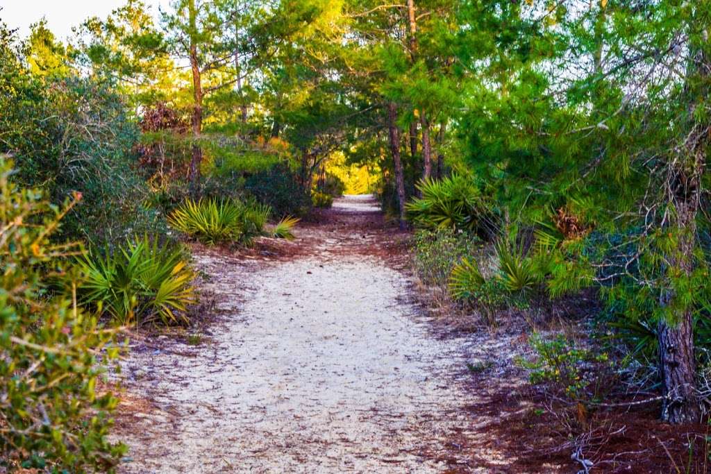 Juniper Prairie Wilderness Camping access | FR 33, Fort McCoy, FL 32134, USA | Phone: (352) 625-2520