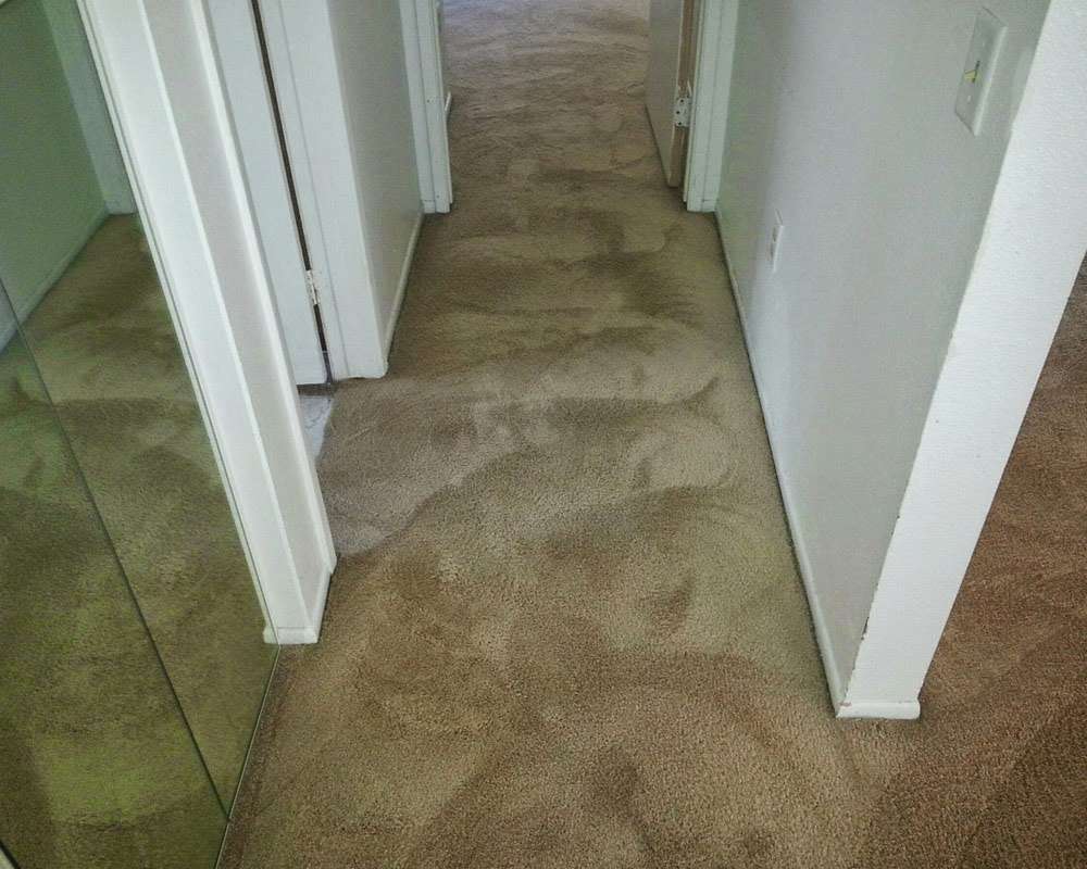 Robere Carpet Care | 8785 Gracilior Ct, Escondido, CA 92026, USA | Phone: (760) 443-8453