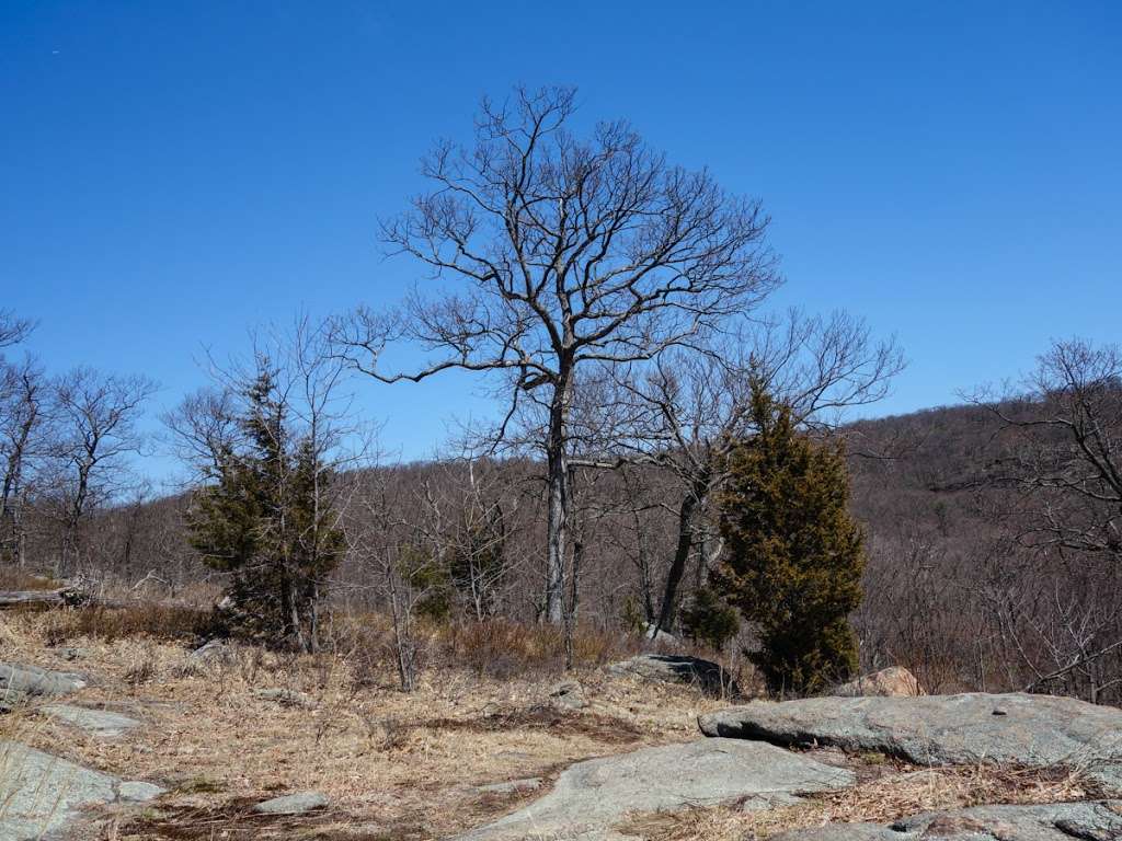 Torne View | Ramapo, NY 10901, USA