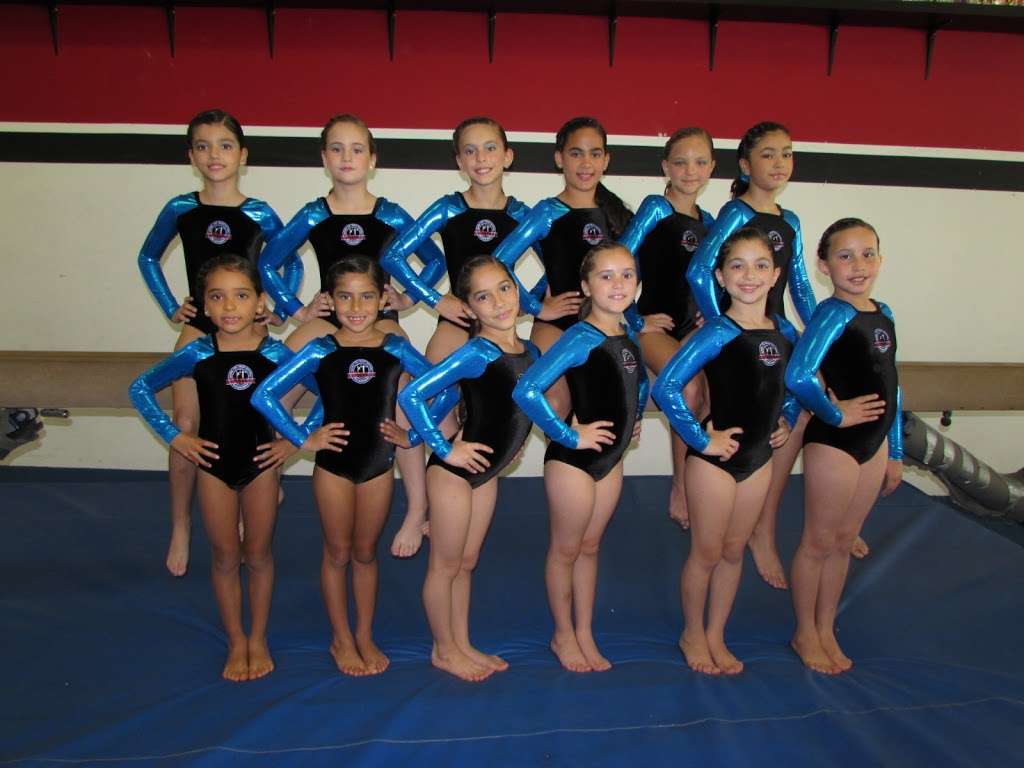 The Gymnastics Academy | 13954 SW 8th St, Miami, FL 33184, USA | Phone: (786) 577-0653