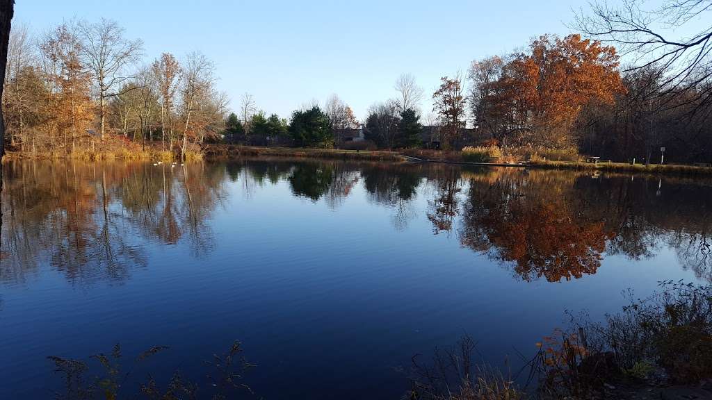 Dealaman Nature Trail and Pond | 182 Mt Horeb Rd, Warren, NJ 07059, USA | Phone: (908) 753-8000