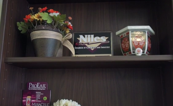 Chicagoland Hearing Aid Centers - Niles | 8856 N Milwaukee Ave, Niles, IL 60714, USA | Phone: (847) 213-9424