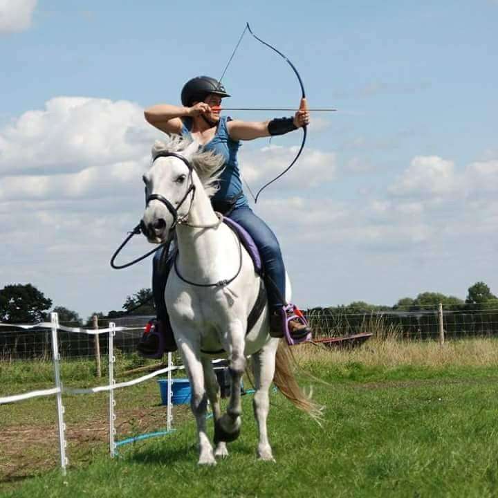 Total Contact Equine Solutions | 46 Victoria Rd, Golden Green, Tonbridge TN11 0LR, UK | Phone: 07792 722625