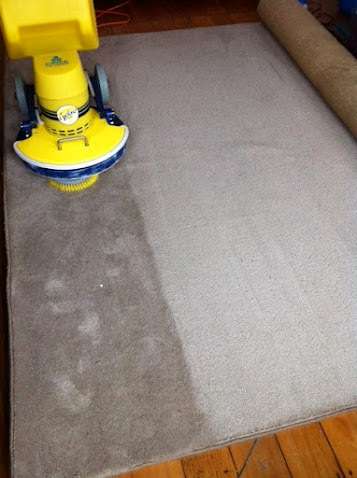 Quality Carpet & Upholstery Cleaning | 2052 Newport Blvd, Costa Mesa, CA 92627 | Phone: (949) 200-6767