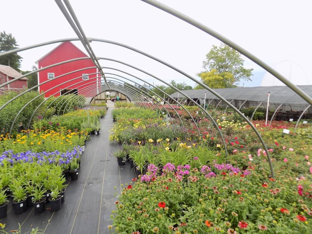 Arbor Farms Nursery | 12515 Coldwater Rd, Fort Wayne, IN 46845, USA | Phone: (260) 637-5816
