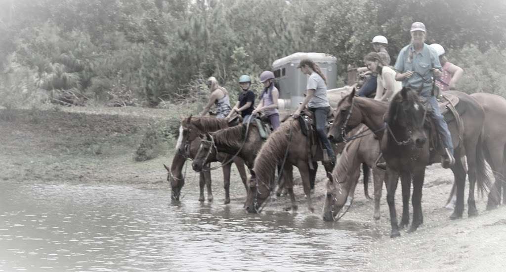 Horseback Trail Rides | 1020 Camp Rd, Cocoa, FL 32927, USA | Phone: (321) 632-7085