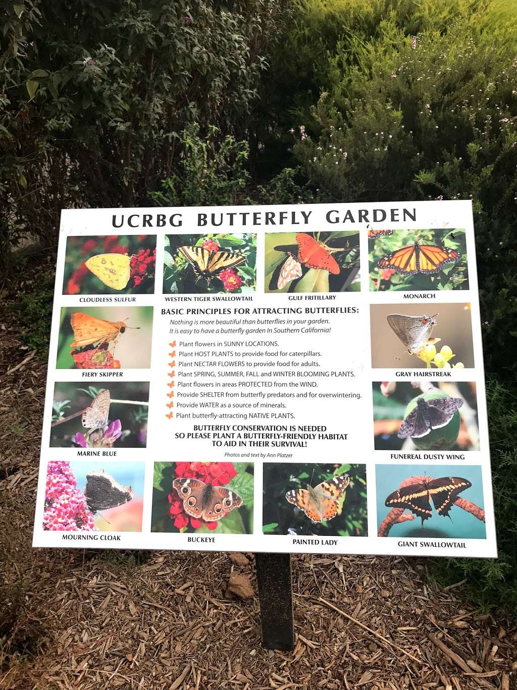 UCRBG Butterfly Garden | 286 Frost Ct, Riverside, CA 92507, USA
