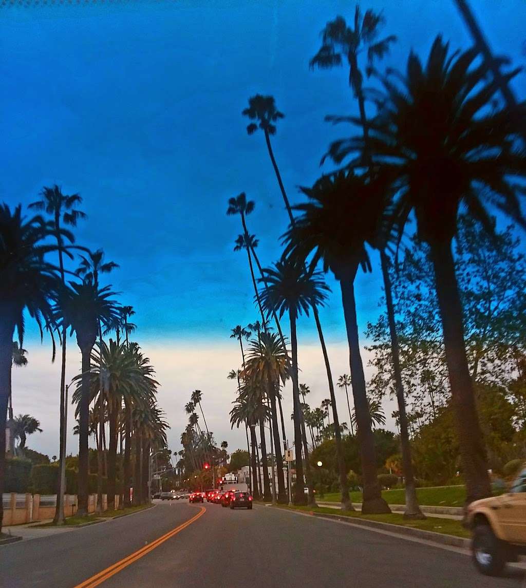 Sunset Boulevard | Sunset Blvd, Beverly Hills, CA 90210, USA