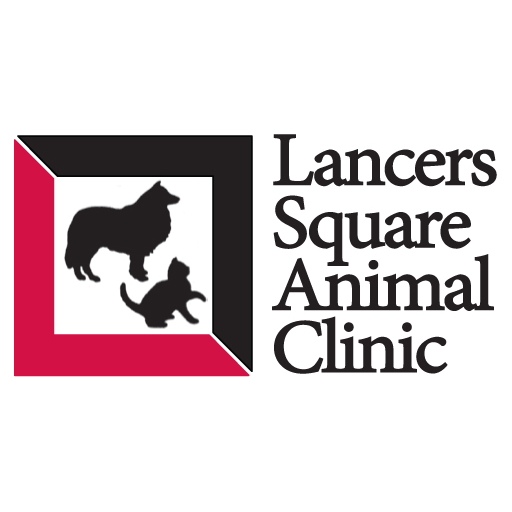 Lancers Square Animal Clinic | 3207 Independence Pkwy, Plano, TX 75075, USA | Phone: (972) 596-3413