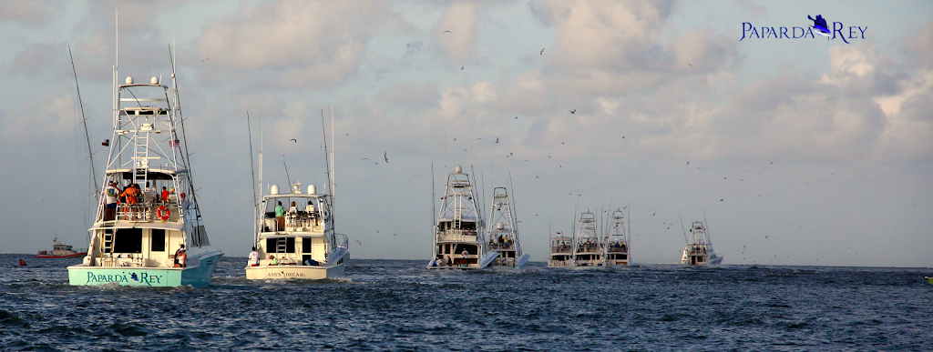 Paparda Rey Fishing Charters | 715 N Holiday Dr, Galveston, TX 77550, USA | Phone: (713) 295-0208