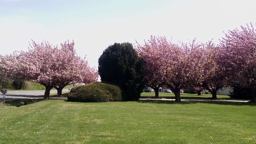 Eastern Shore Animal Hospital | 6327 Church Hill Rd, Chestertown, MD 21620, USA | Phone: (410) 778-1200