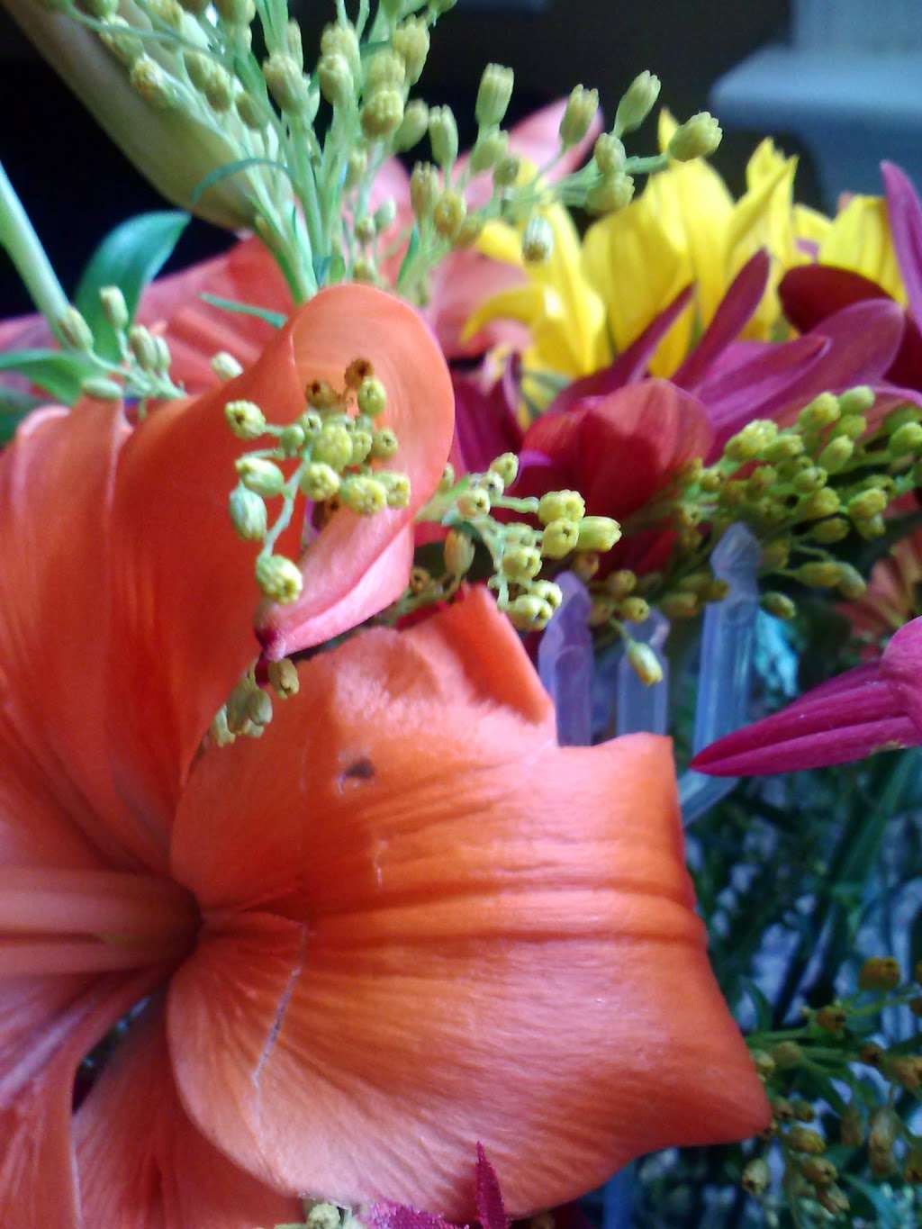 Flowers of Eden | 1139 Ben Franklin Hwy W # 105, Douglassville, PA 19518, USA | Phone: (610) 385-0404