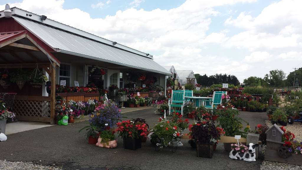 Detwilers Farm Market | 235 Locust Point Rd, Elkton, MD 21921 | Phone: (410) 392-5179