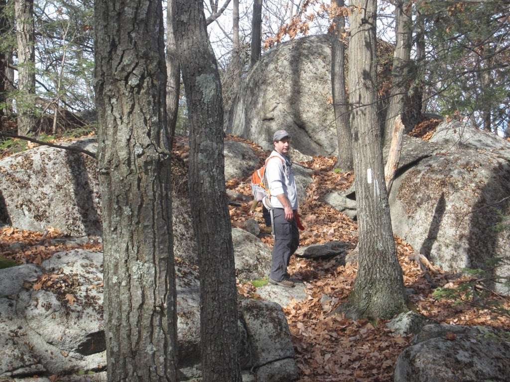 Appalachian Trail | Louemma Ln, Glenwood, NJ 07418, USA