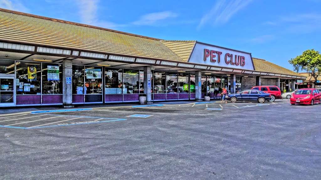 Pet Club San Jose | 5625 Snell Ave, San Jose, CA 95123 | Phone: (408) 363-6068