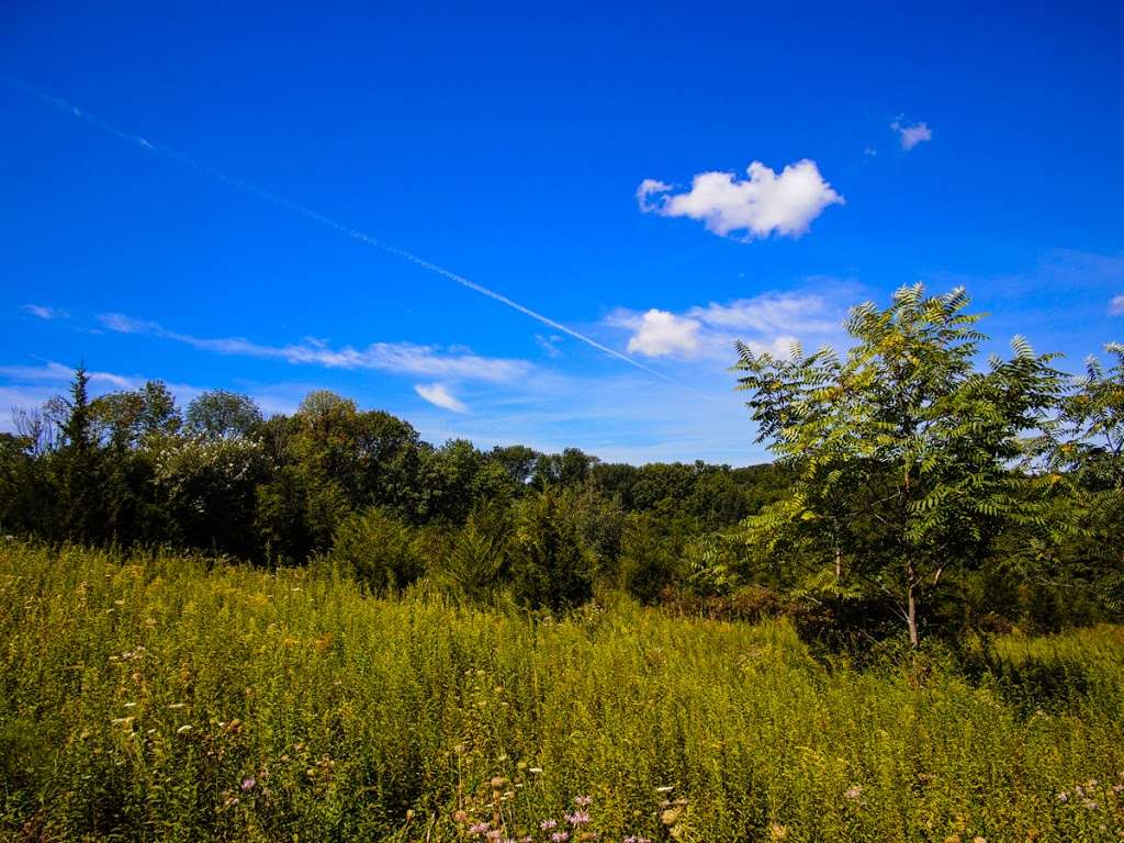 Appalachian Trail | State Line Rd, Westtown, NY 10998, USA