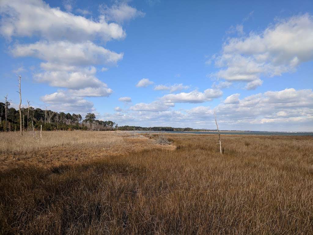 Hughlett Point Natural Area Preserve | Kilmarnock, VA 22482, USA | Phone: (804) 786-7951