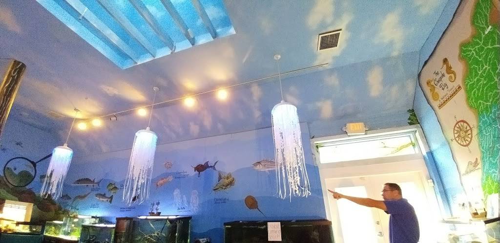 Glen Echo Park Aquarium | 7300 Macarthur Blvd, Glen Echo, MD 20812, USA | Phone: (301) 955-6256