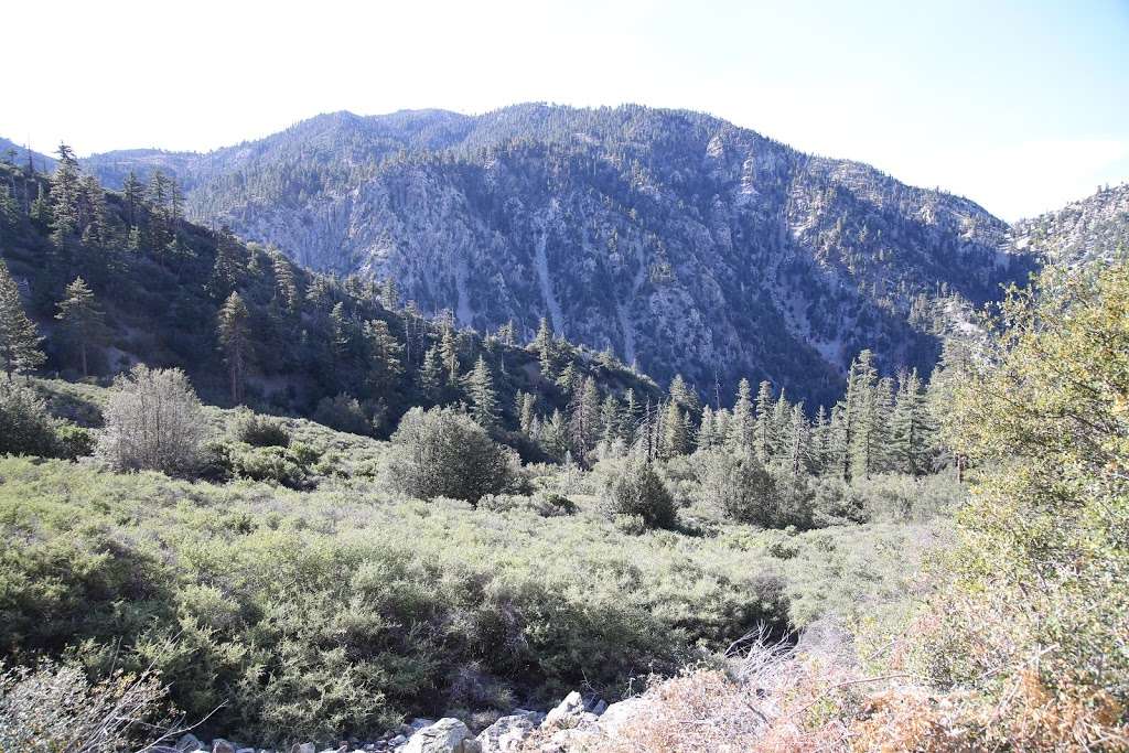 Cedar Glen | Mt Baldy, CA 91759, USA