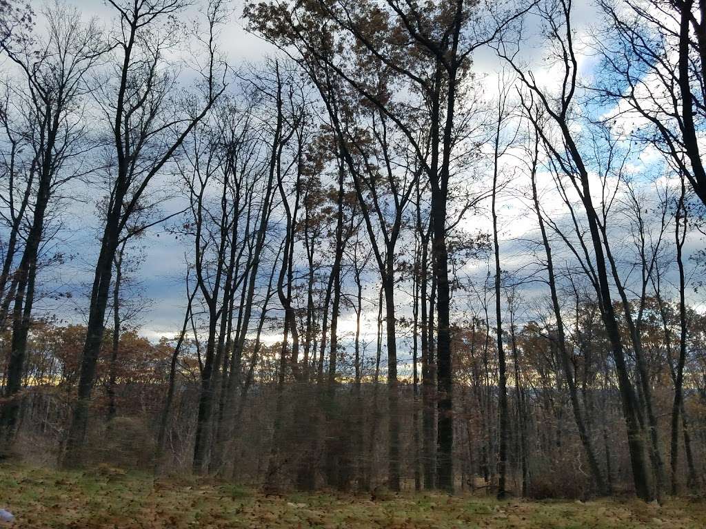 The Hideaway | Constitution Ave, Pen Argyl, PA 18072, USA