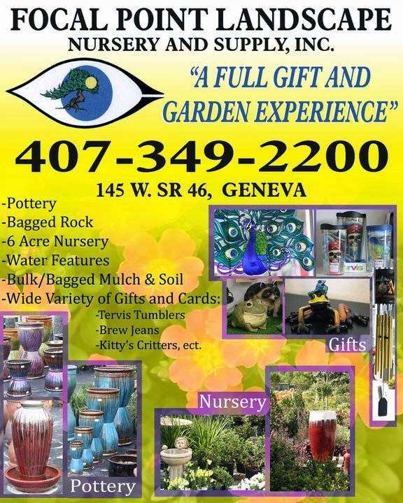 Focal Point Landscape Nursery | 145 FL-46, Geneva, FL 32732, USA | Phone: (407) 349-2200