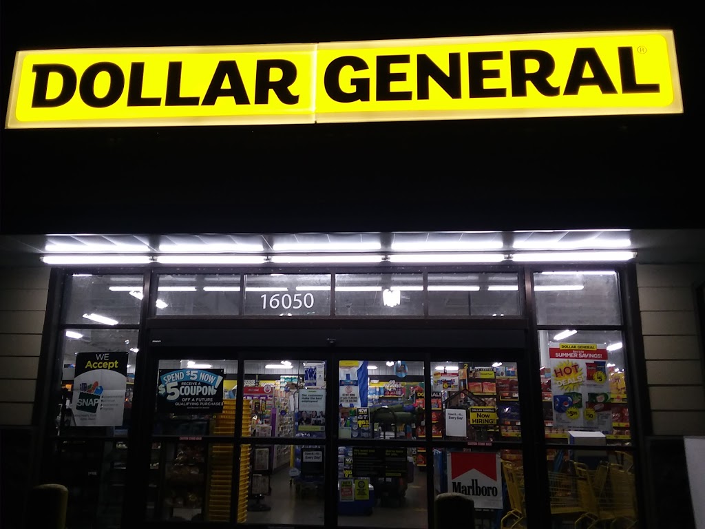 Dollar General | 10650 County Rd 44, Leesburg, FL 34788, USA | Phone: (352) 702-3859