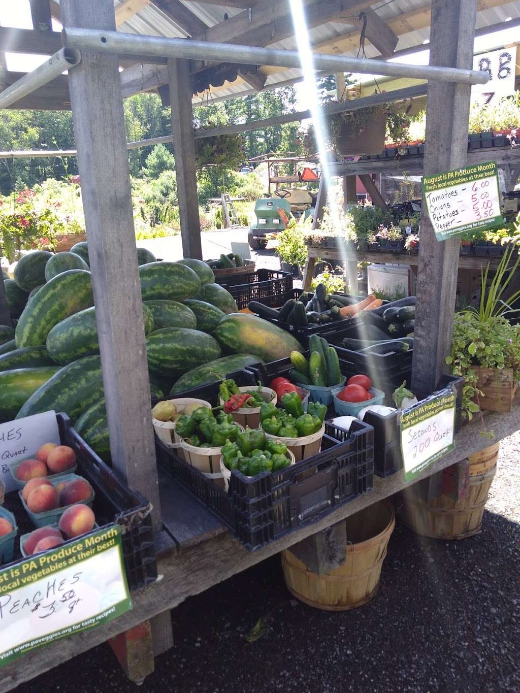 Whispering Ridge Nursery & Farm Stand | 5920 Rte 209, Stroudsburg, PA 18360, USA