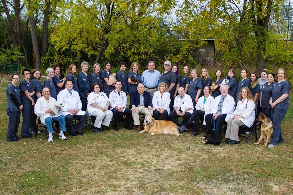 Lombard Veterinary Hospital | 244 E St Charles Rd, Lombard, IL 60148 | Phone: (630) 627-7090