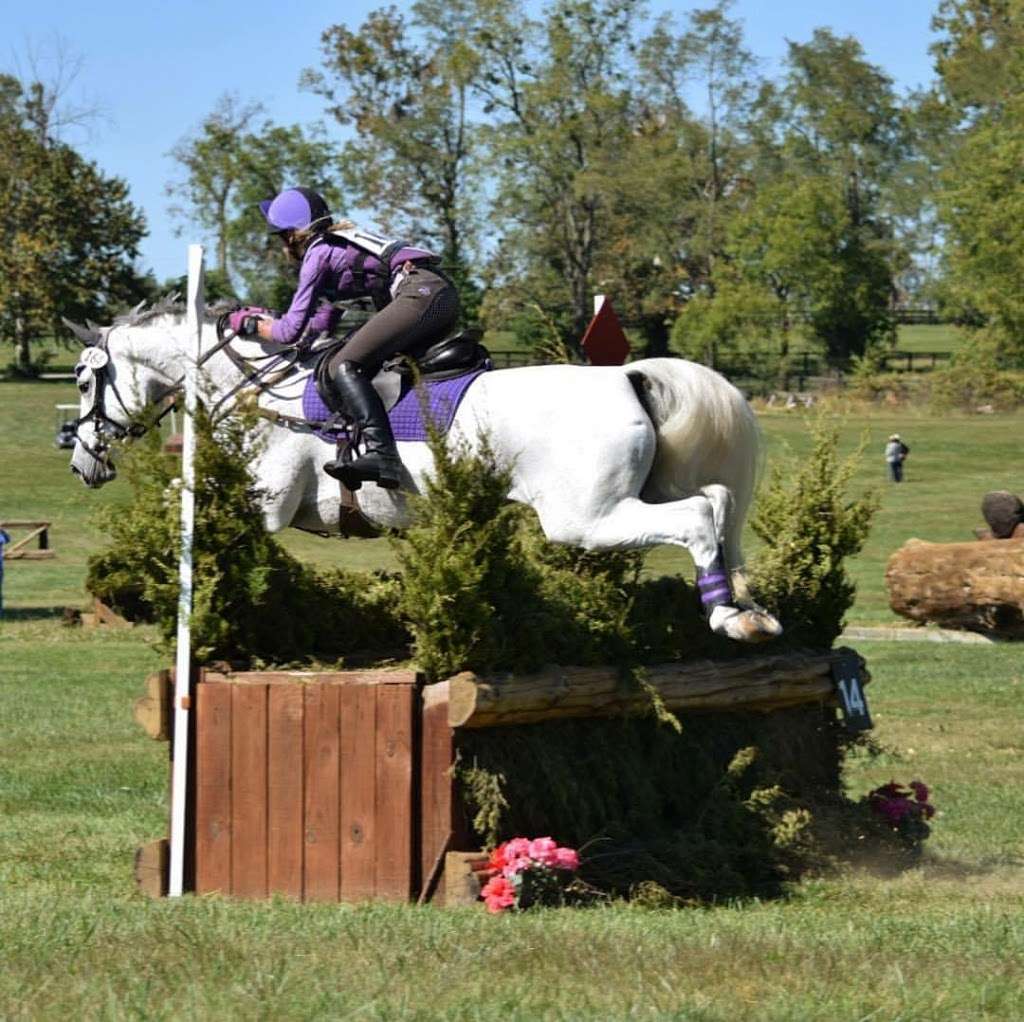 Pletch Equestrian Center | 9712 E 350 S, Lafayette, IN 47905, USA | Phone: (765) 427-7045