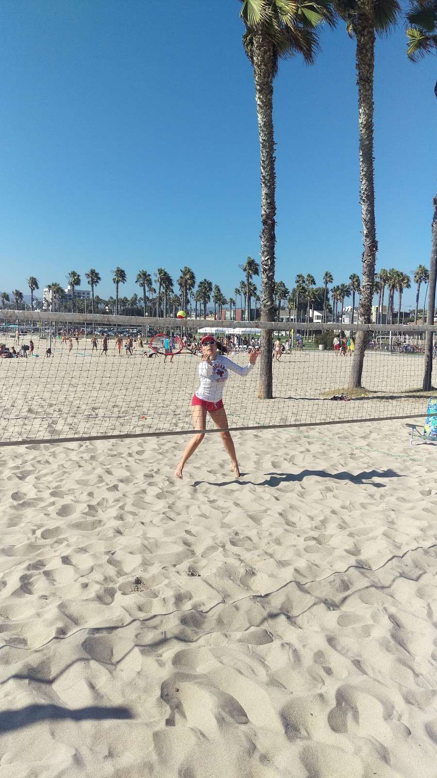 BEACHBALL TENNIS SANTA MONICA BEACH TENNIS | 2600 Ocean Front Walk, Santa Monica, CA 90405, USA | Phone: (310) 395-4270