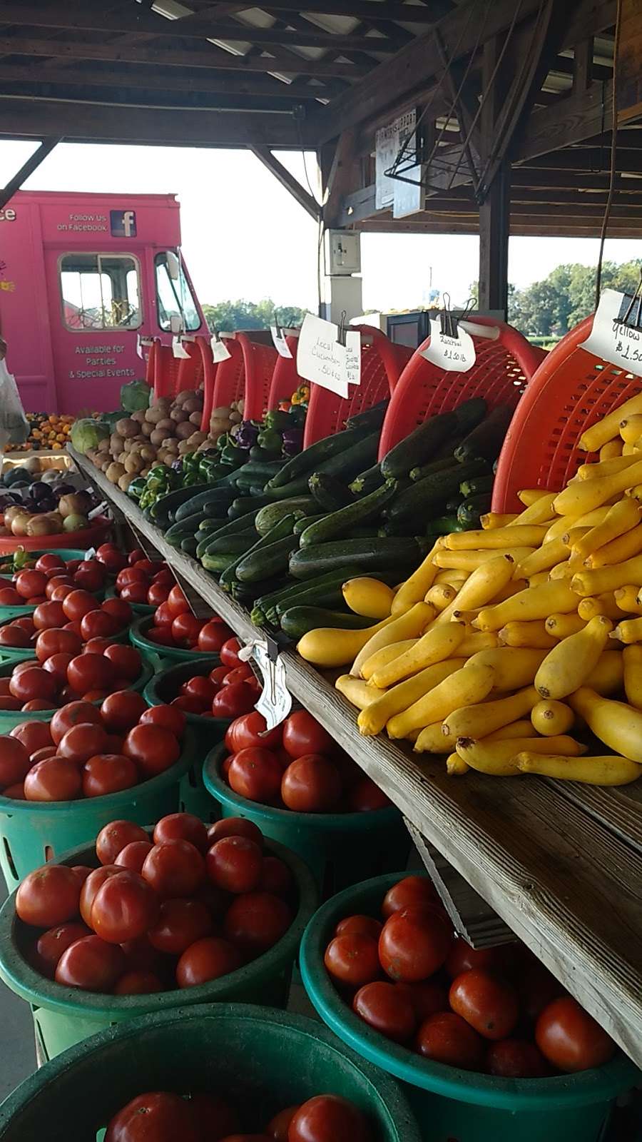 Level Green Farm Vegetable Stand | Kings Hwy, Montross, VA 22520 | Phone: (804) 450-0001