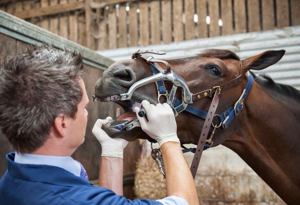 Royal Veterinary College Equine Practice and Referral Hospital | Hawkshead Ln, Brookmans Park, Hatfield AL9 7TA, UK | Phone: 01707 666297