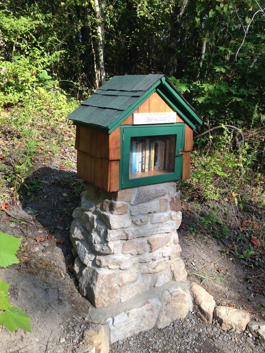 Little Free Library | Rock Gap Rd, Berkeley Springs, WV 25411, USA