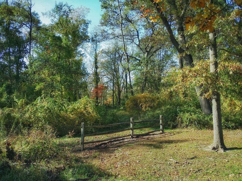 Jurgensen Woods Nature Preserve | 183rd St, Lansing, IL 60438 | Phone: (800) 370-3666