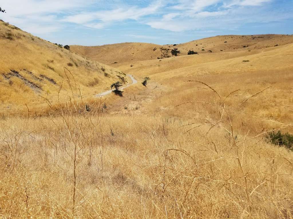 Upper Las Virgenes Canyon Open Space Preserve | Western end of, Victory Blvd, Woodland Hills, CA 91367 | Phone: (310) 589-3200