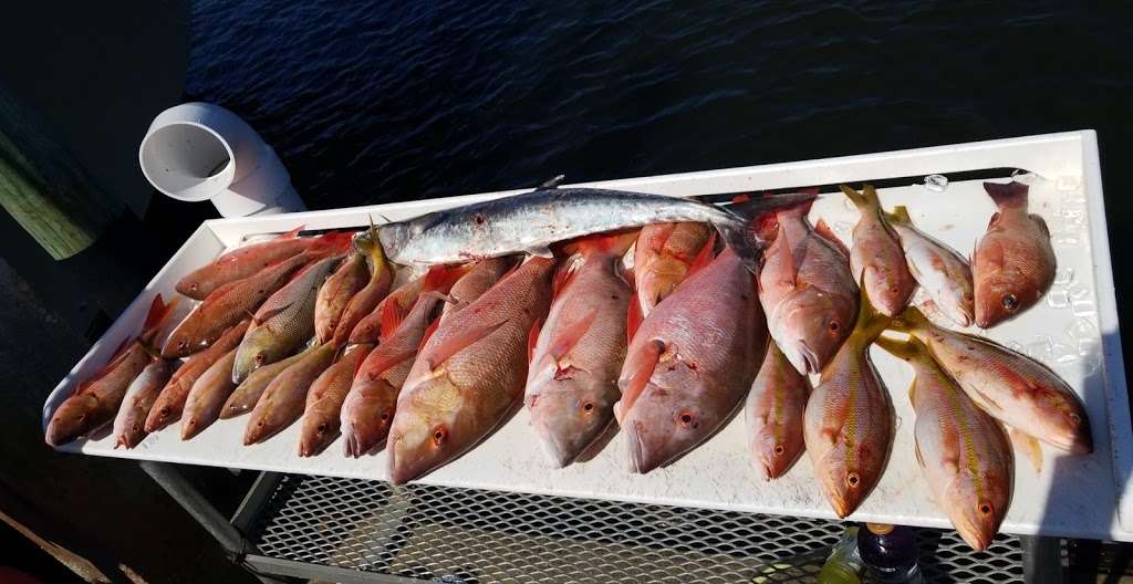 Good Time Charter Fishing | 1111 Love St, Jupiter, FL 33477, USA | Phone: (561) 277-5941