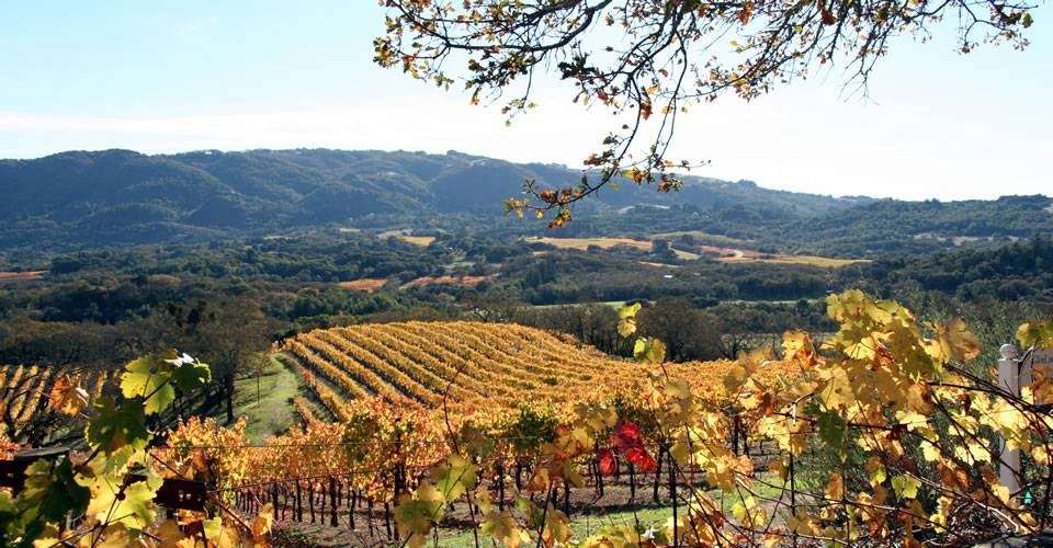 Go Sonoma - Wine Country Lodging | 14300 Arnold Dr, Glen Ellen, CA 95442, USA | Phone: (707) 266-6353