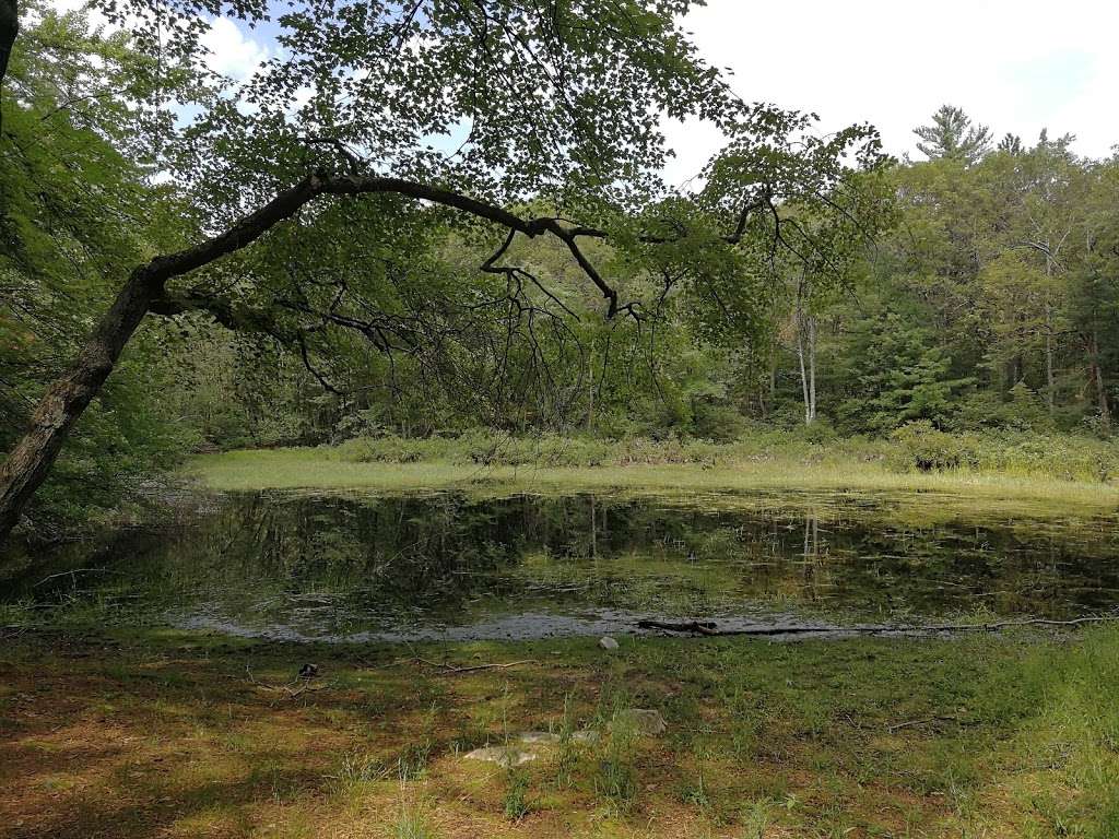 Weisblatt Conservation Land | 625-, 655 Boston Post Rd, Sudbury, MA 01776, USA Weisblatt Conservation Land | 625-, 655 Boston Post Rd, Sudbury, MA 01776, USA