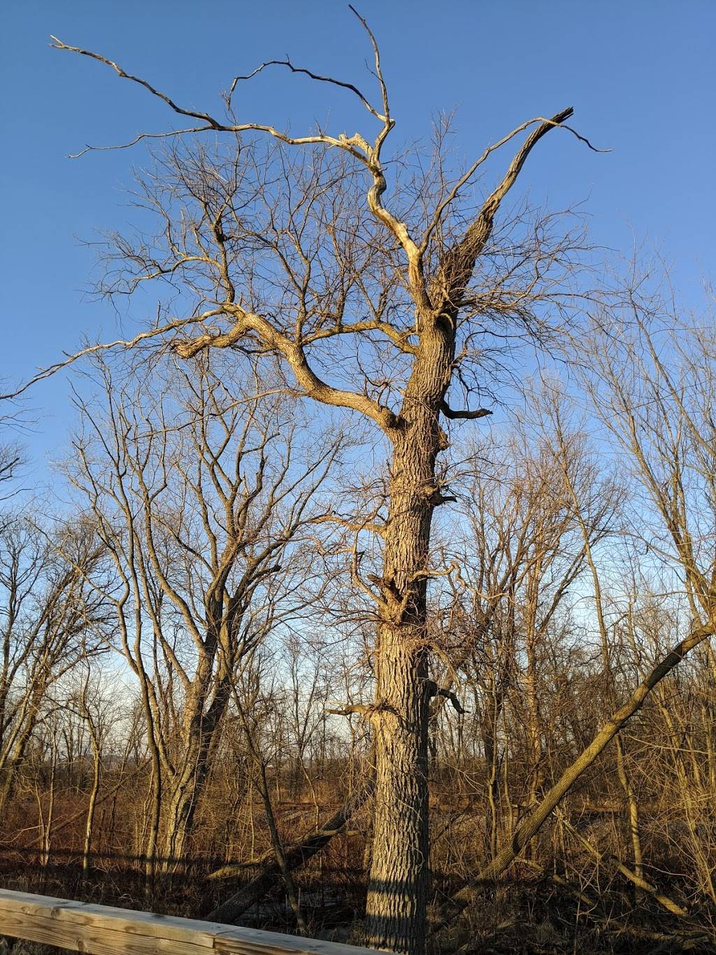 Lower Yahara River Trail - Dane County Parks | 4081 McDaniel Ln, McFarland, WI 53558, USA | Phone: (608) 224-3730