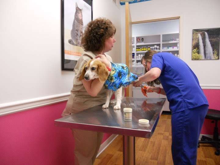 Aloha Animal Hospital | 1446 Baltimore St, Hanover, PA 17331, USA | Phone: (717) 633-7387