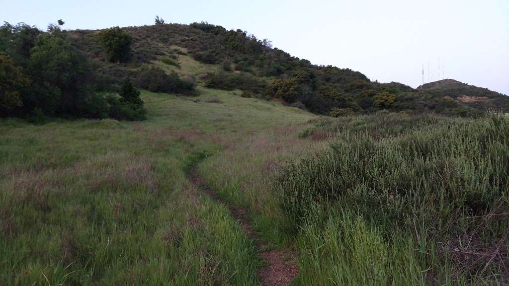 Verdugo Mountains Open Space Preserve | Oakmount View Dr, Glendale, CA 91209, USA | Phone: (818) 880-0363