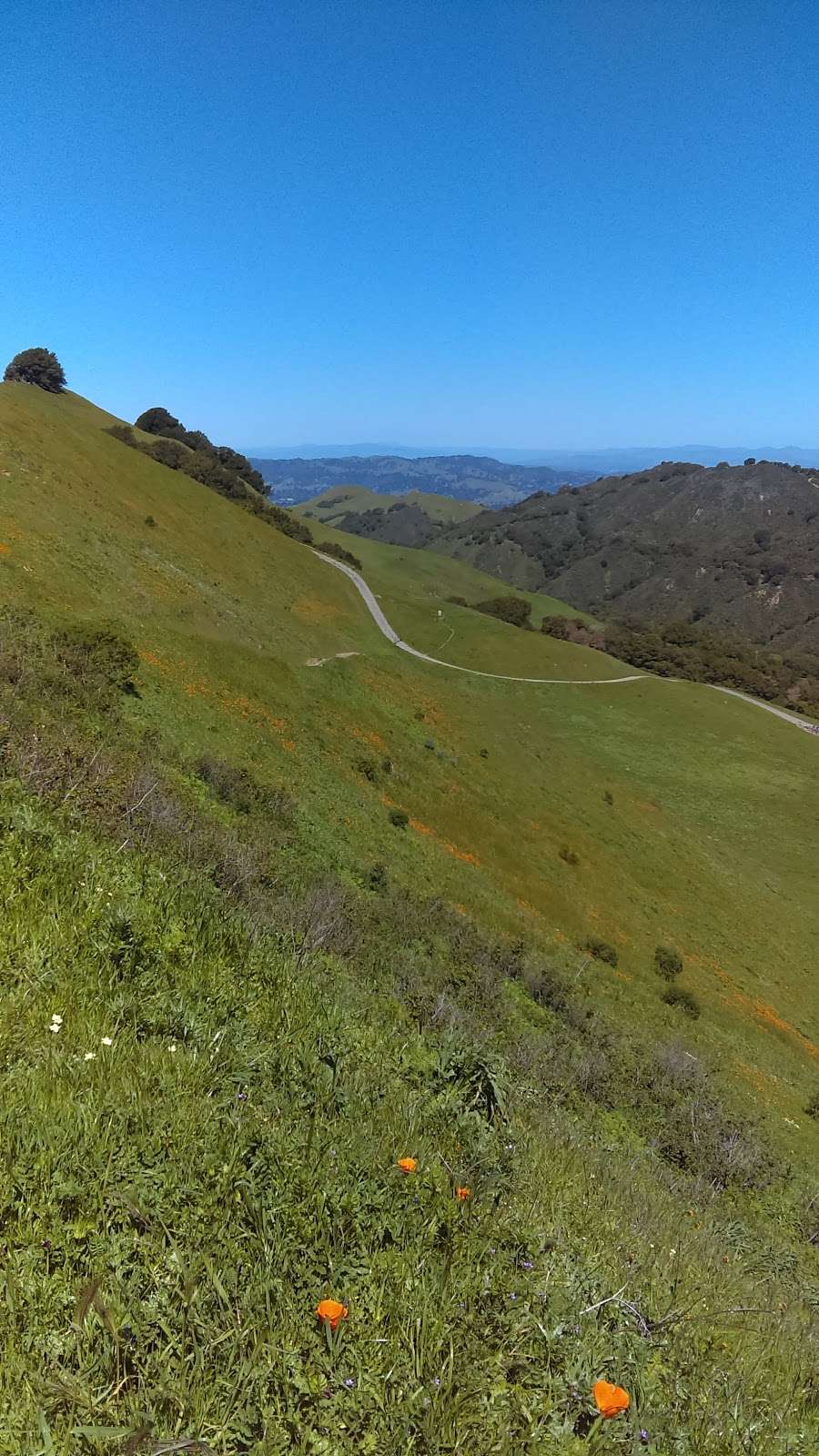 Las Trampas Ridge Trail | Las Trampas Ridge Trail, Moraga, CA 94556, USA | Phone: (888) 327-2757