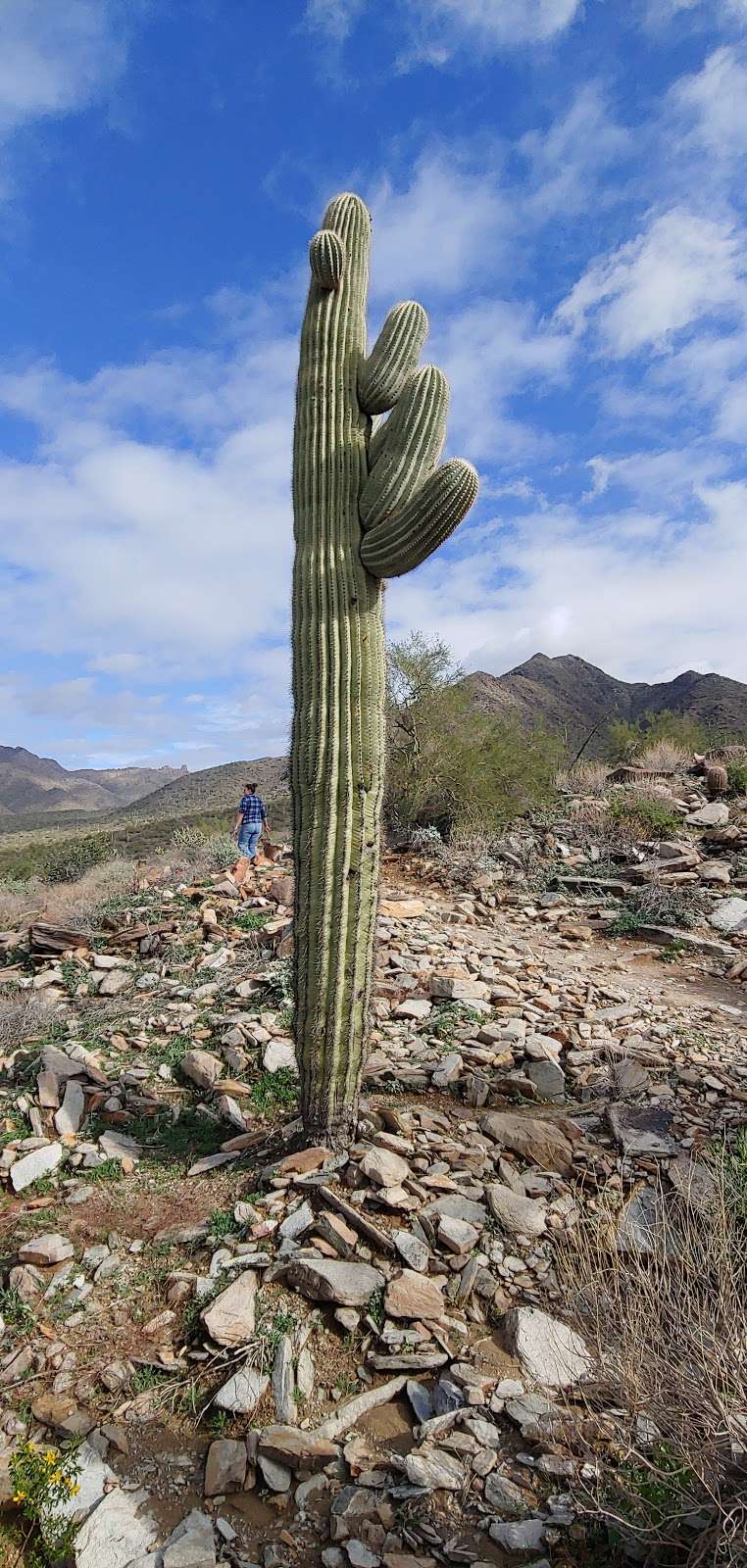 Gateway w/Aiden | Gateway Loop Trail, Scottsdale, AZ 85255, USA