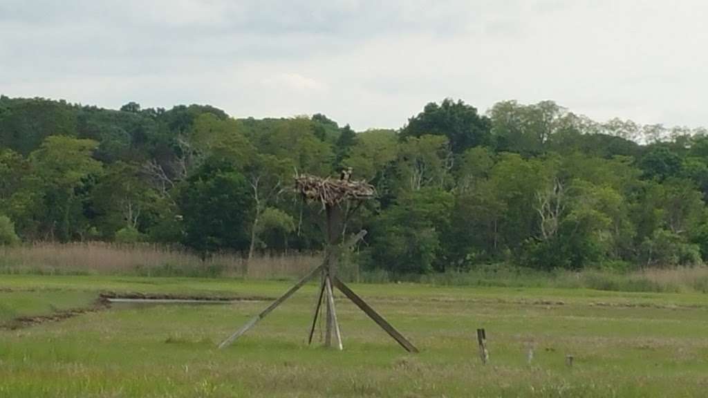 Jerome A. Ambro Memorial Wetland Preserve | Fort Salonga, NY 11768, USA | Phone: (631) 351-3000