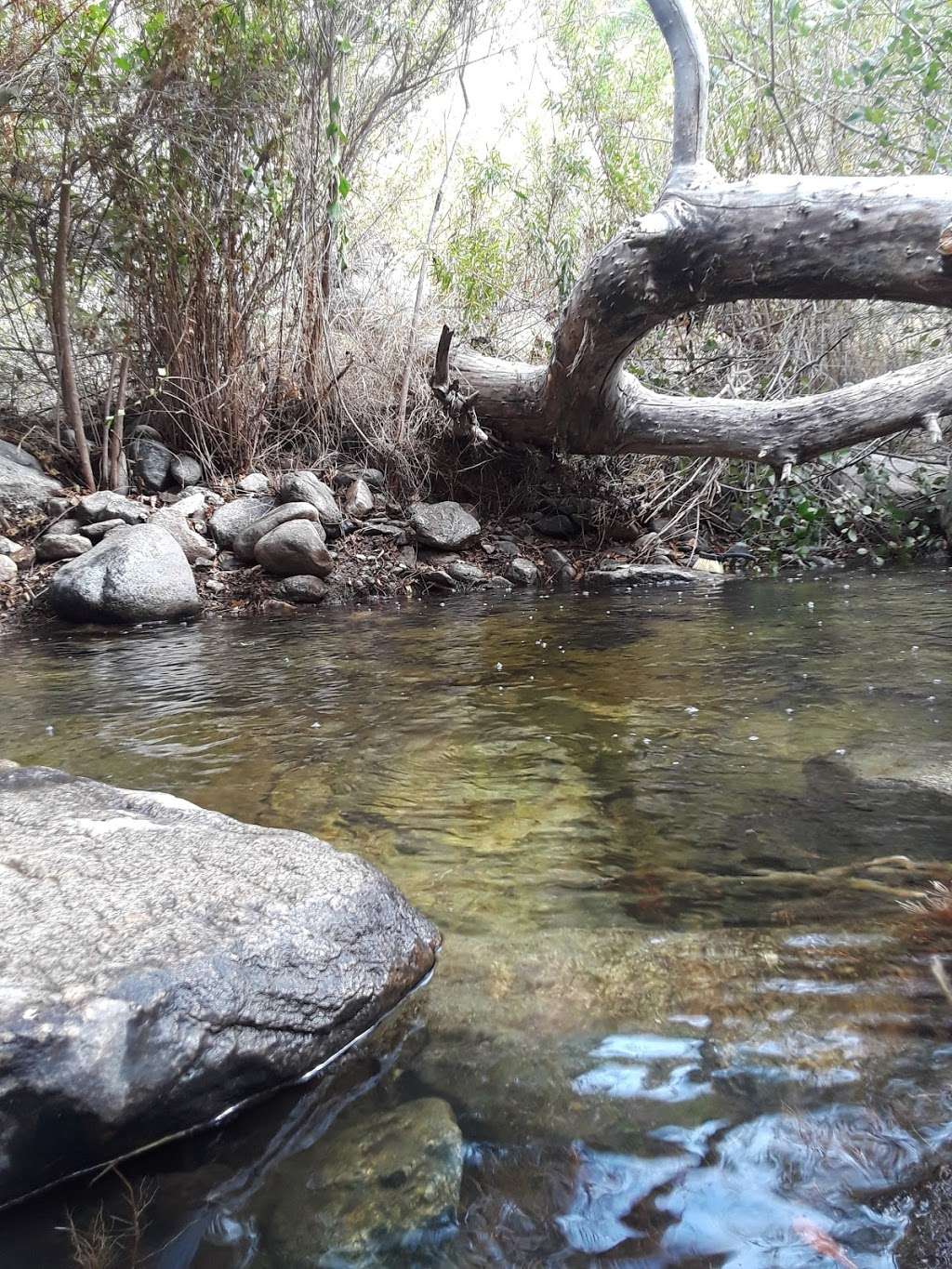 Condor Peak Trailhead | Tujunga, CA 91042