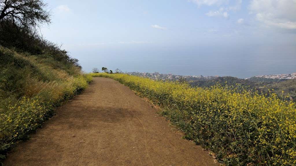 Paseo Miramar Trail | Paseo Miramar Trail, Malibu, CA 90265, USA