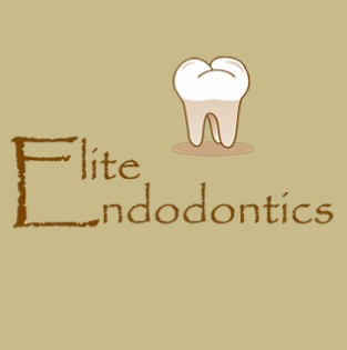 South East Endodontic Group | 3303 S WW White Rd, San Antonio, TX 78222, USA | Phone: (210) 257-8863